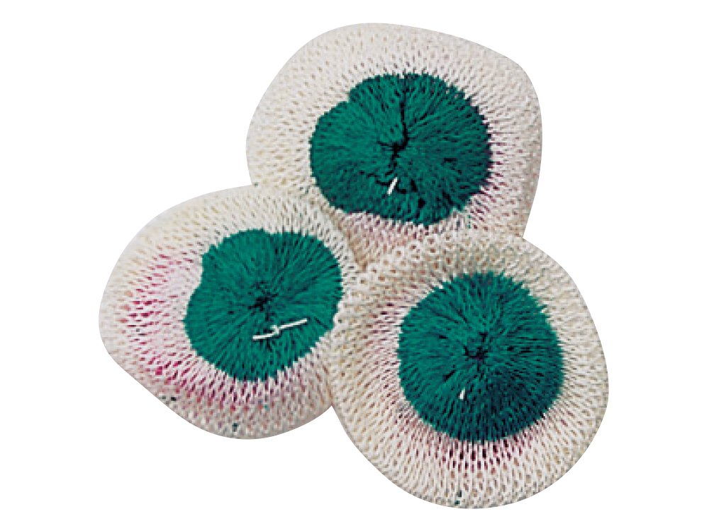 Amazon.co.jp: Snow Peak(スノーピーク) (snow peak) 2WAY